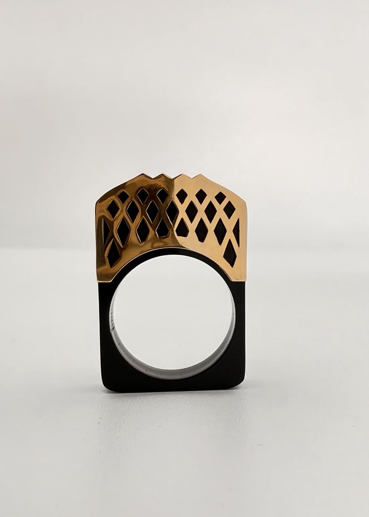 "Opposition" Handcrafted Gold & Resin Ring by Banafsheh Hemmati