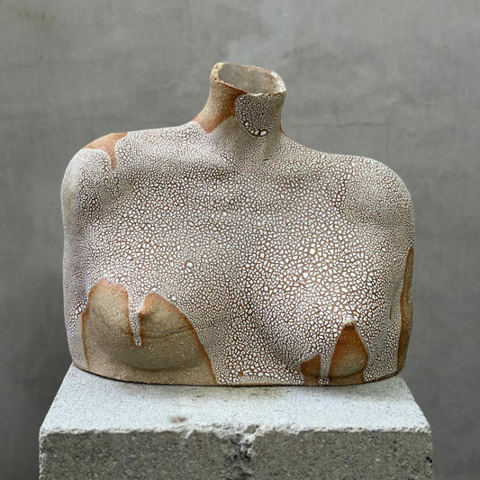 Ceramic Torso