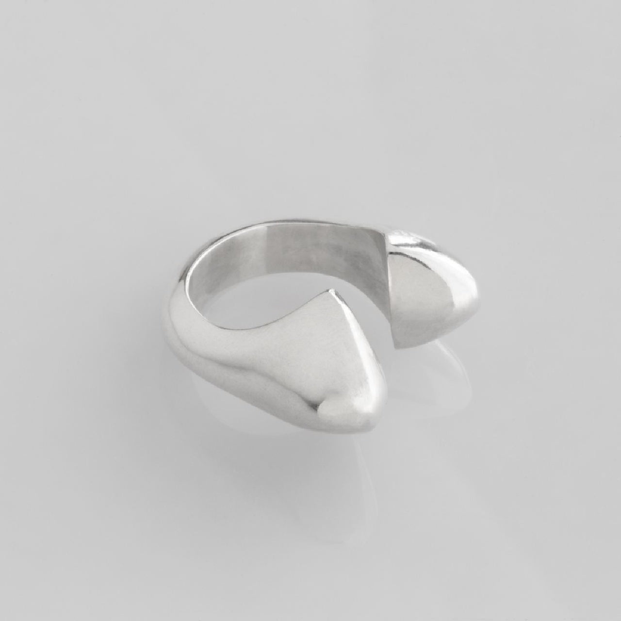 Bone Ring by Sun Nafissi